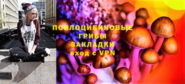 таблы Ладушкин