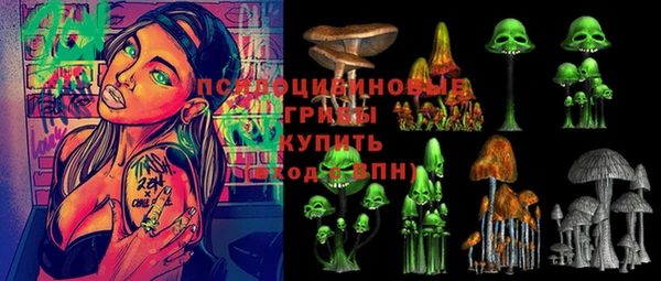 твердый Лабытнанги