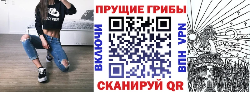 Купить  Томари  Галлюциногенные грибы Magic Shrooms 